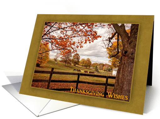 Horse Farm, Autumn Landscape, Thanksgiving card (1336070)