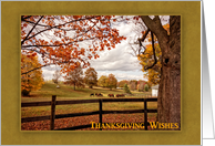 Horse Farm, Autumn Landscape, Thanksgiving card