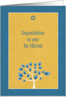 Bar Mitzvah...