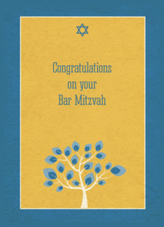 Bar Mitzvah...