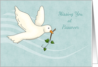 Passover, White Dove, Missing You card