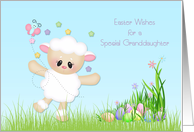 Sweet Lamb, Easter...
