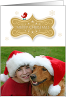 Golden Merry Christmas Tag Photo Card