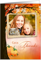 Autumn Tree Thanksgiving Photo Card