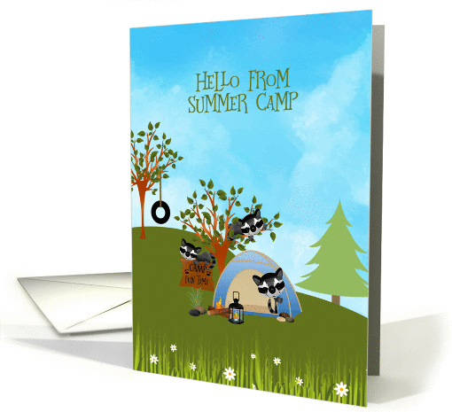 Hello from Camp with Racoons card (1433992)