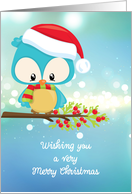 Cute Christmas Owl on Tree Branch card