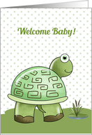 Congratulations New Baby Turtle card