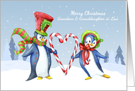 Grandson and Granddaughter in Law Christmas Penguins card