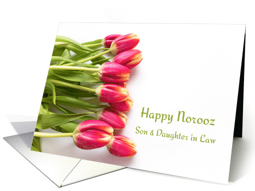 Son and Daughter in Law Happy Norooz with Pink Tulips card (1514836)