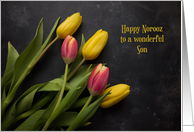 For Son Happy Norooz with Pink and Yellow Tulips on Dark Background card
