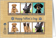 Father’s Day from Dogs Six Photos card
