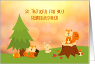 For Granddaughter Thanksgiving Woodland Animals card