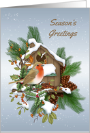 Season’s Greetings with Robin on Snowy Birdhouse with Pine Branches card