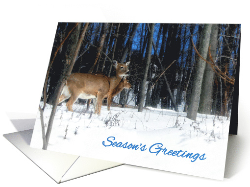 Pair of Deer in the Snowy Woods card (1550230)