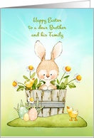 For Brother and Family Easter Bunny, Chicks and Daisies card