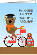 Graduate Bear Moving...