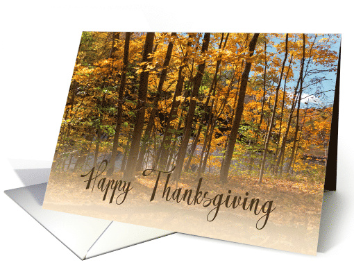 Thanksgiving Autumn Trees and Foliage card (1582014)