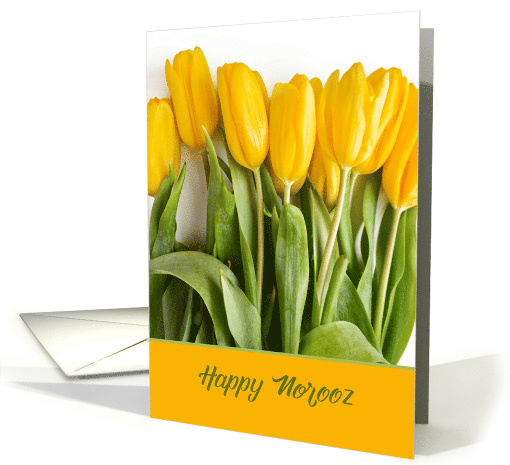 Bright Yellow Tulips for Norooz Persian New Year card (1603066)