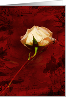 Grunge & Roses Maroon 2