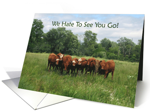 Goodbye from Group with Cows card (178543)