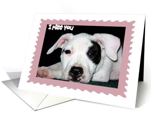 I Miss You Pit Bull Puppy card (179150)