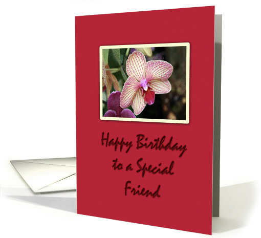 Birthday Wishes Special Friend card (179898)