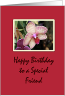 Birthday Wishes Special Friend card