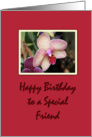 Birthday Wishes Special Friend card