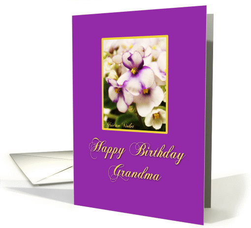 Happy Birthday Grandma card (192913)