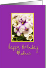 Happy Birthday Mother card