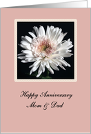 Anniversary Mom & Dad card