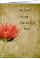 Grunge Dahlia Birthday Across the Miles card