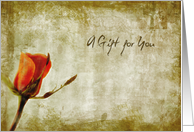 A Gift for You Orange Vintage Rose card