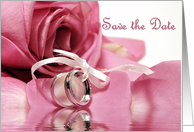 Save the Date Pink Rose card