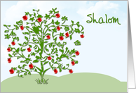 Rosh Hashanah Apple Tree card