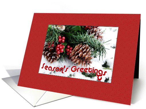 Winter Pinecones card (268568)