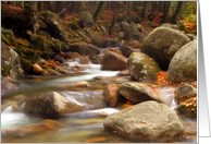 Autumn Stream card