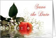 Save the Date Rose card