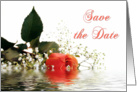 Save the Date Rose card