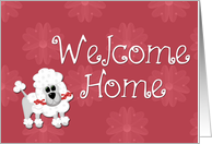 Welcome Home Poodle card