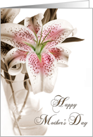 Mother’s Day Lily card