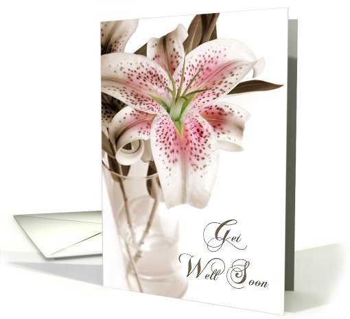 Get Well Lily card (414579)
