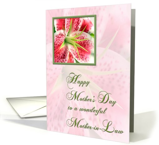 Mother-in-Law Mother's Day card (414580)