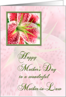 Mother-in-Law Mother’s Day card