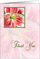 Thank You Lily card