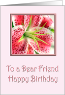 Birthday Friend Lily card