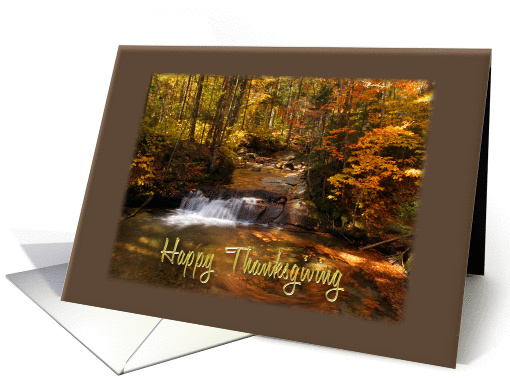 Thanksgiving Woodland Waterfall card (859041)