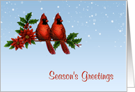 Red Cardinals, Poinsettias, Snow, Season’s Greetings card