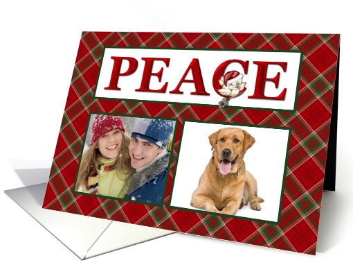 Peace, Plaid Christmas Photo card (869293)