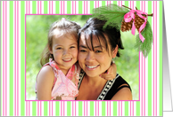 Christmas Holiday, Pink Green Stripes, Pine Cones Photo Card